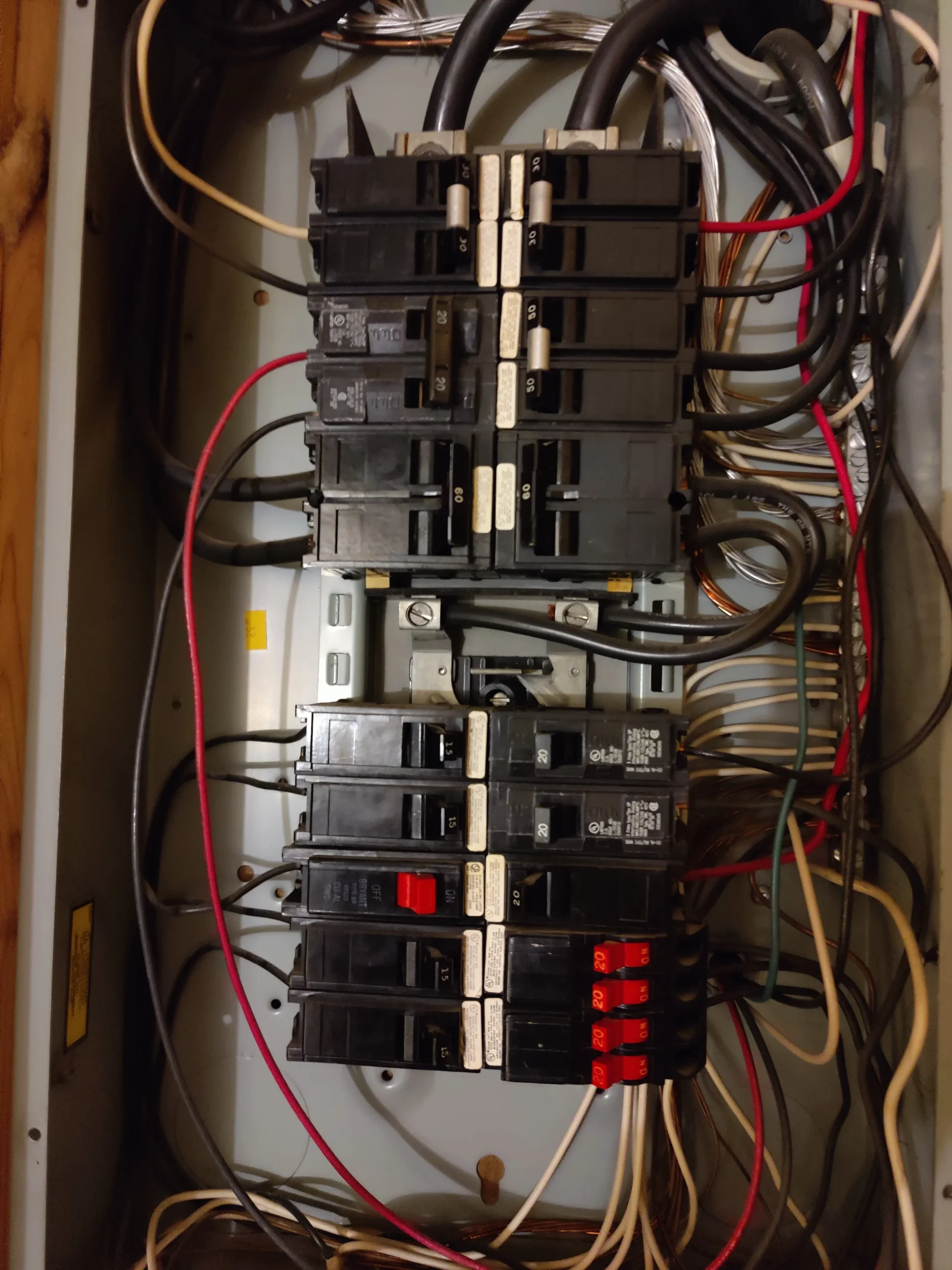 An image of Untitled design (2)