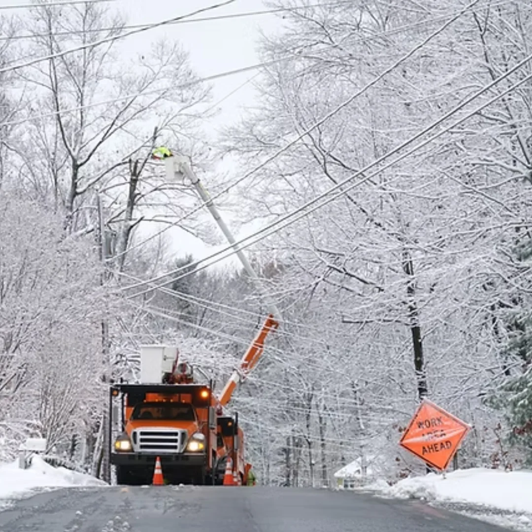 An image of Untitled design (2)